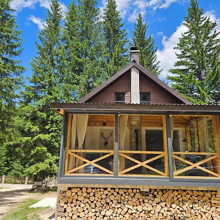 Black Lake Chalet 자블야크 외부 사진