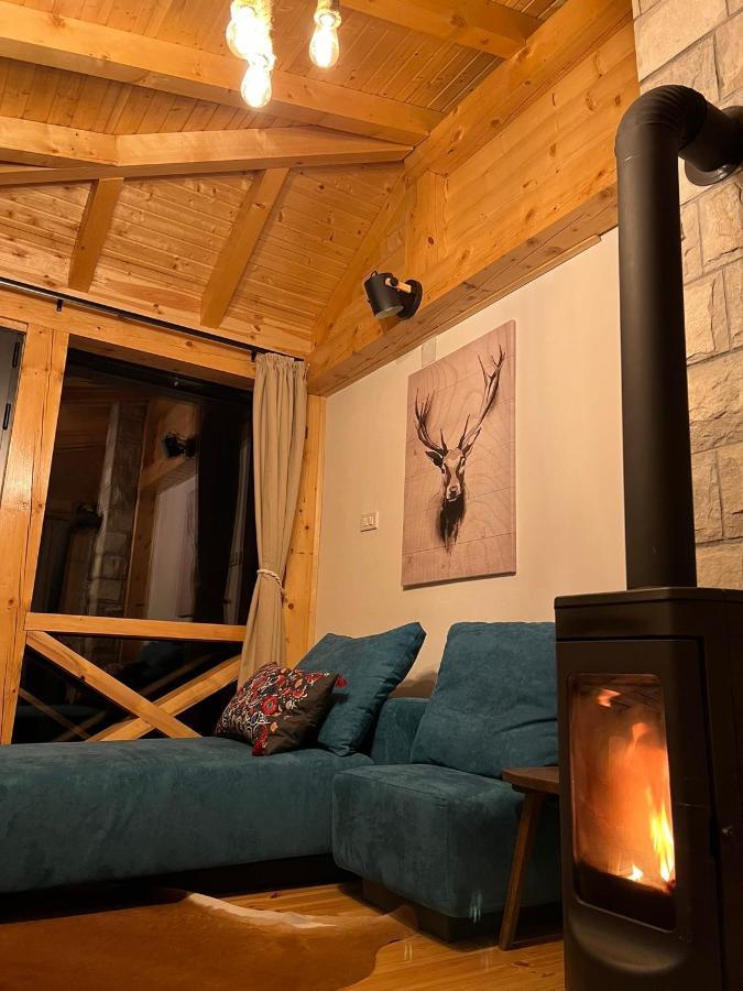 Black Lake Chalet 자블야크 외부 사진
