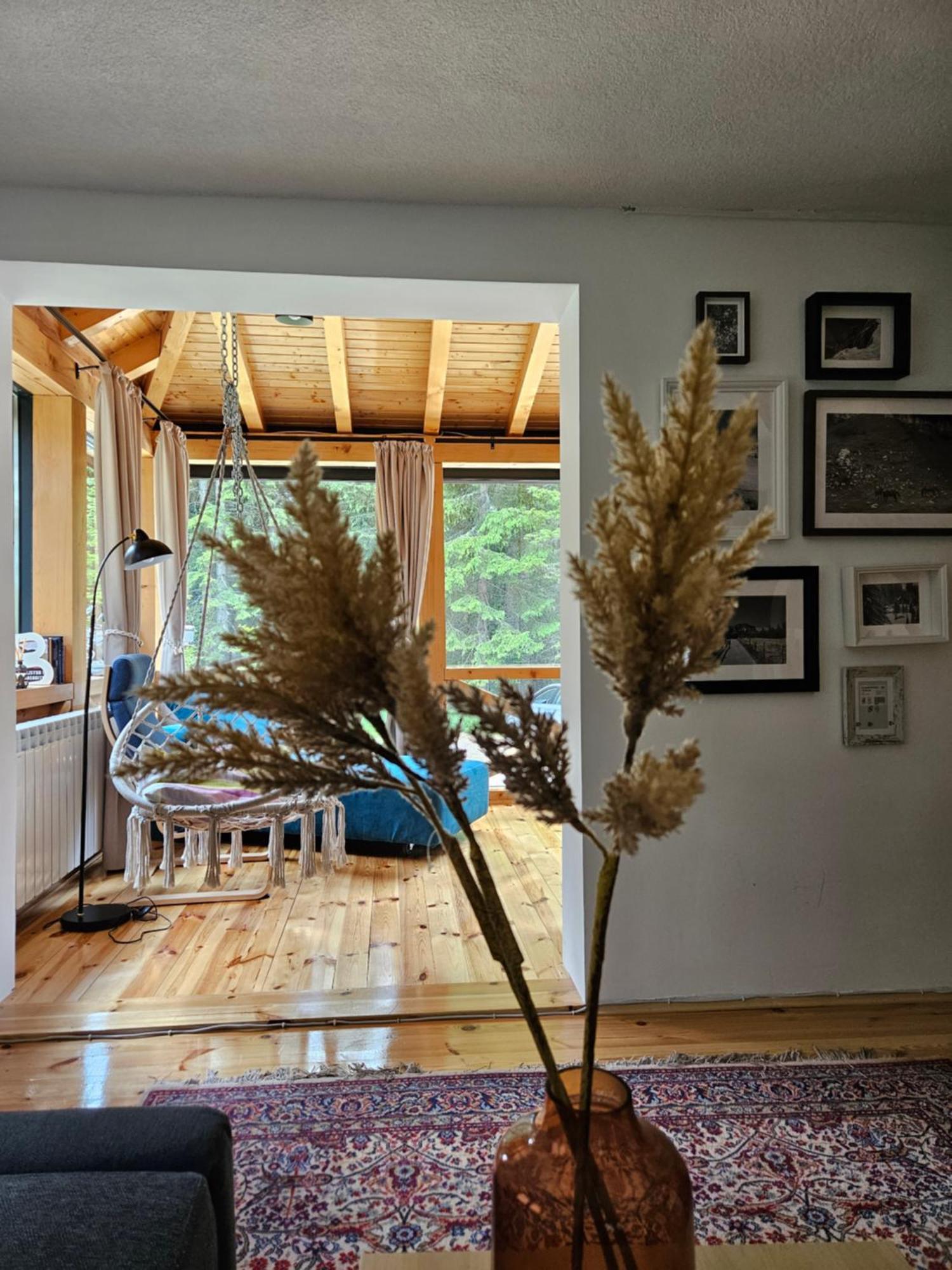 Black Lake Chalet 자블야크 외부 사진